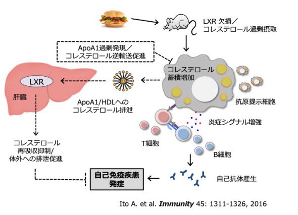 Ito Ayaka Inamori Foundation